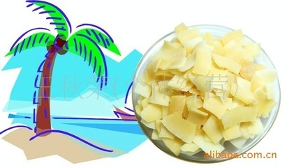 品味南國椰香 正宗蘇梅香脆椰子片的魅力與市場(chǎng)機(jī)遇